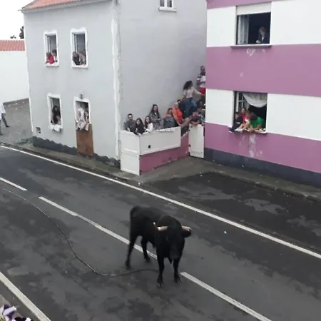 Casa Codorniz