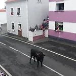Casa Codorniz